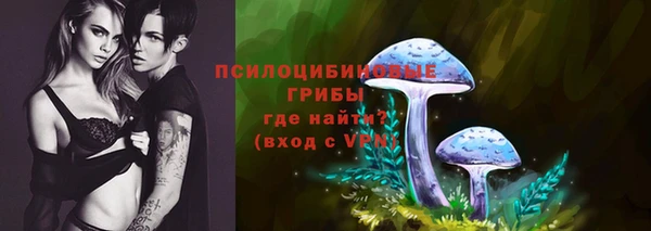 таблы Алексеевка