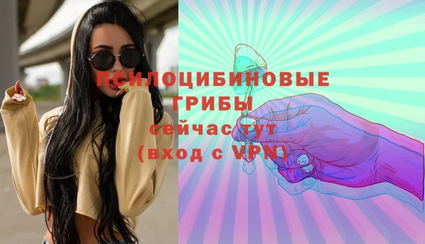 бутират Алзамай