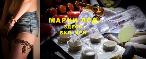 сатива Семикаракорск