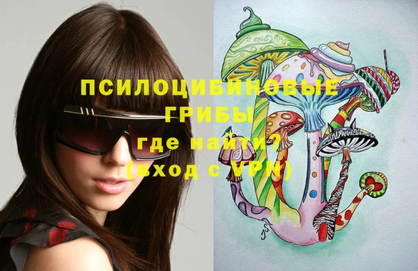 мдпв Семёнов
